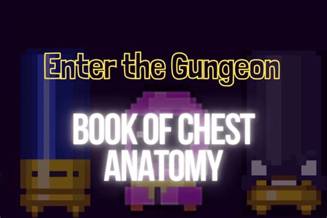 book of chest anatomy|enter the gungeon black chest.